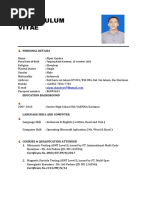 Curriculum Vitae Pipin 2019