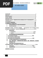 Rapport de Stage CK IMMOBILIER