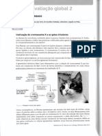 11 Teste Avaliação Global 2 PDF