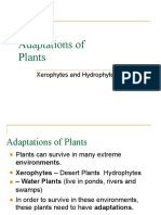 Xerophytes and Hydrophytes