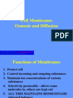 Cell Membrane - Osmosis and Diffusion PDF