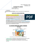 Cavidad Orbitaria PDF