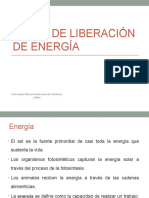 21 Rutas de Liberacion de Energia