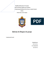 Informe Buques de Pasaje