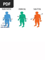 Pty 106 Axis and Planes PDF