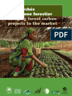 Bringing Forest Carbon Projects To The Market FR (2009)