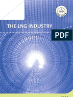 Giignl - LNG Industry - 2009