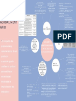 Mapa Mental CALIDAD Y CERTIFICACIONES