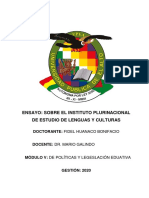 Ensayo Sobre Instituto Plurinacional de Estudio de Lenguas y Culturas