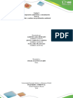 Tarea 4 Definir y Analizar Una Problemática Ambiental PDF