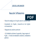 Fisiopatología de La Inflamación Clase de Postgrado PDF