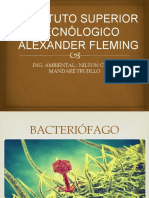 BACTERIOFAGO