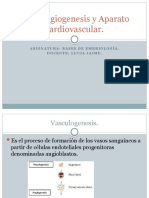 Angiogenesis y Aparato Cardiovascular.