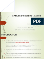 1-Cancer-De-Rein