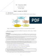 TP Simulation BGP