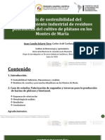 Juan Solarte Ponente 2 PDF