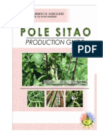 Productionguide Polesitao