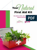 Michelle Sands Natural First Aid Kit