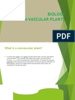 Biology Non-Vascular Plants