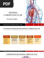 Fisiología Cardiovascular