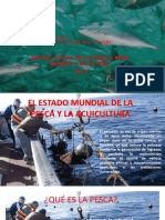 Pesca A Nivel Mundial Yen El Perú