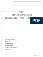 WTO Dispute Settlement Procedures and Remedies