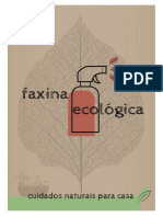 Faxina Ecológica