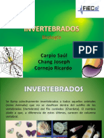 Invertebrados 2003