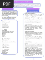 Mapa Conceptual Folklore Venezolano e Internacional