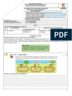 GUIA Reajustada Transicion Prematematicas 1