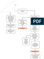 Schematic Pathophy Dka