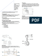 Irritability (1) Labs Bio