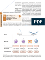 Chronic Obstructive Pulmonary Disease: Pathogenesis