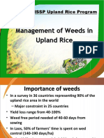 Weeds Management in Upland Rice - Final