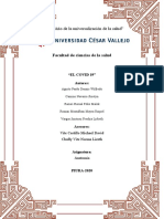 Monografia Covid-19