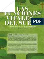 Las Funciones Vitales Del Sueño PDF