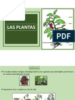 Las Plantas