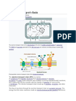 Electron Transport Chain: Jump To Navigation Jump To Search