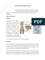 Taller 2 Biologia