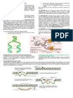 Del ADN A Las Proteínas 1