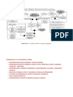 Postulados Basicos de Macroeconomia