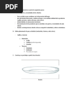 Diseñe El Prototipo