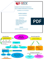 Adultez Intermedia Esquema Visual