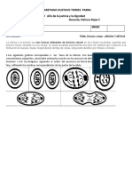 Tarea de Ciencias Naturales para Desarollar