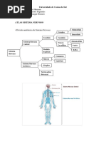 Atlas Sistema Nervoso