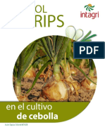 Control de Trips en El Cultivo de Cebolla PDF