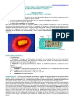 Infecciones Virales Del Sistema Nervioso - Agentes Causales