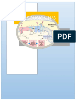 3 Discusión Bioquímica 