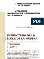 Semana 2. Descripción Microscópica y Macroscópica de La Madera