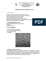 Práctica #3 - 2019 PDF